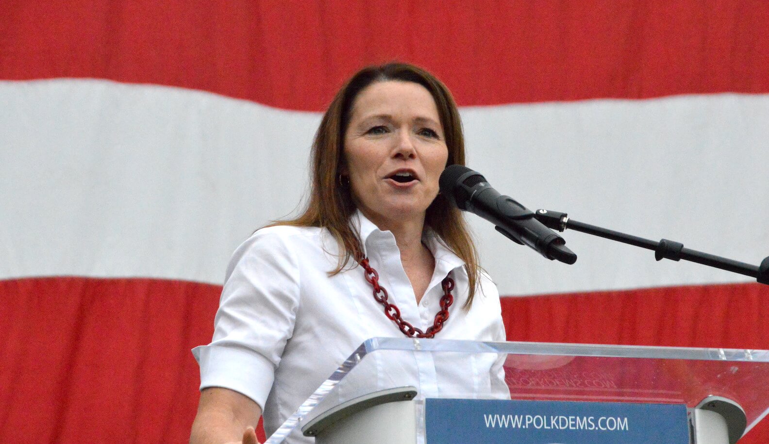 Guest post: Bohannan campaign showed anti-corporate greed message works