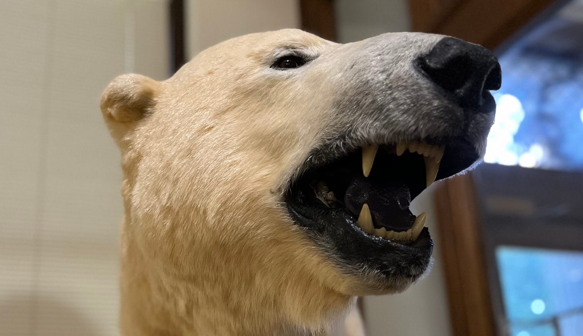 Guest Post: Despite New Iowa Laws, We Support LGBTQ Students In Sioux City Guest Post: Despite New Iowa Laws, We Support LGBTQ Students In Sioux City