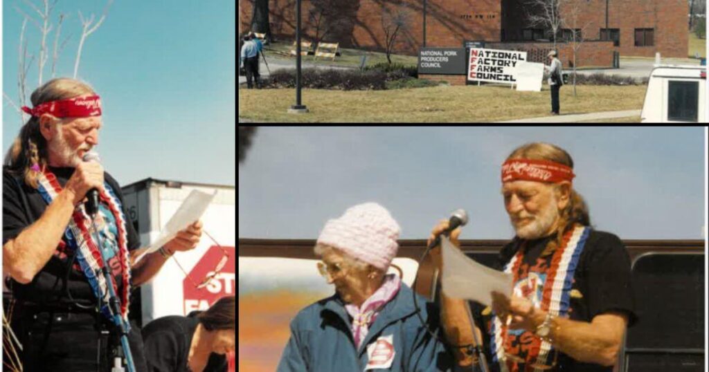 Guest Post - Iowa Starting Line