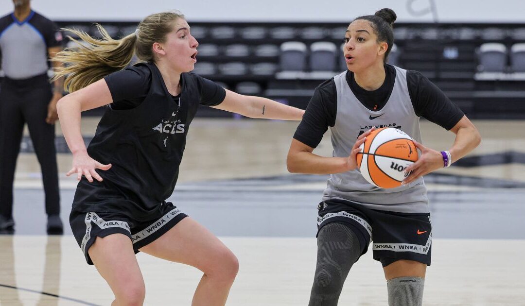 4 reasons why the WNBA should expand to Iowa
