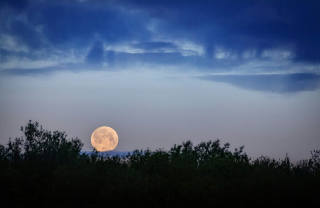 Full moon in the sky.