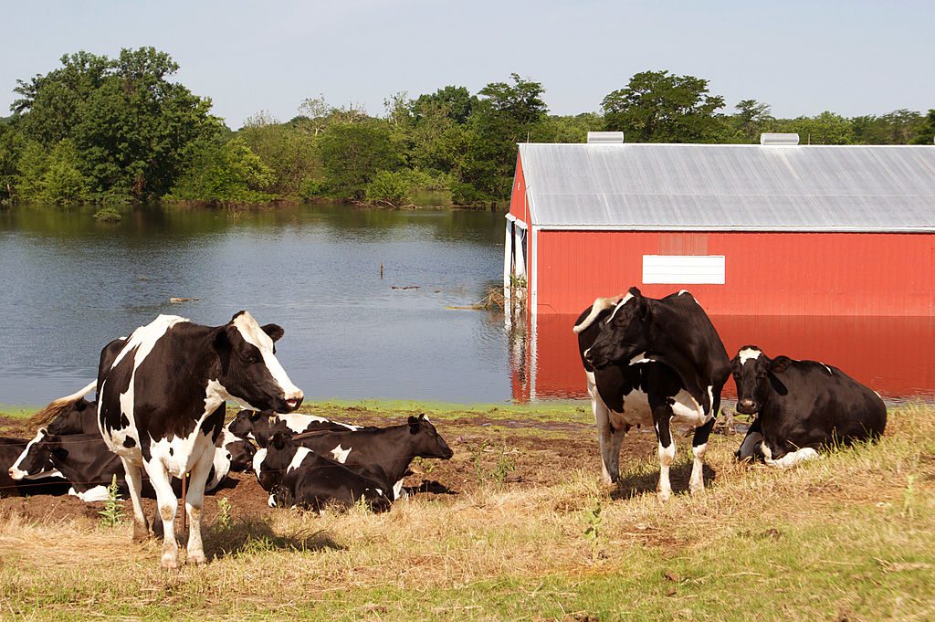 OPINION: Iowans need to stand up to agricultural monopolies for the sake of our water OPINION: Iowans need to stand up to agricultural monopolies for the sake of our water